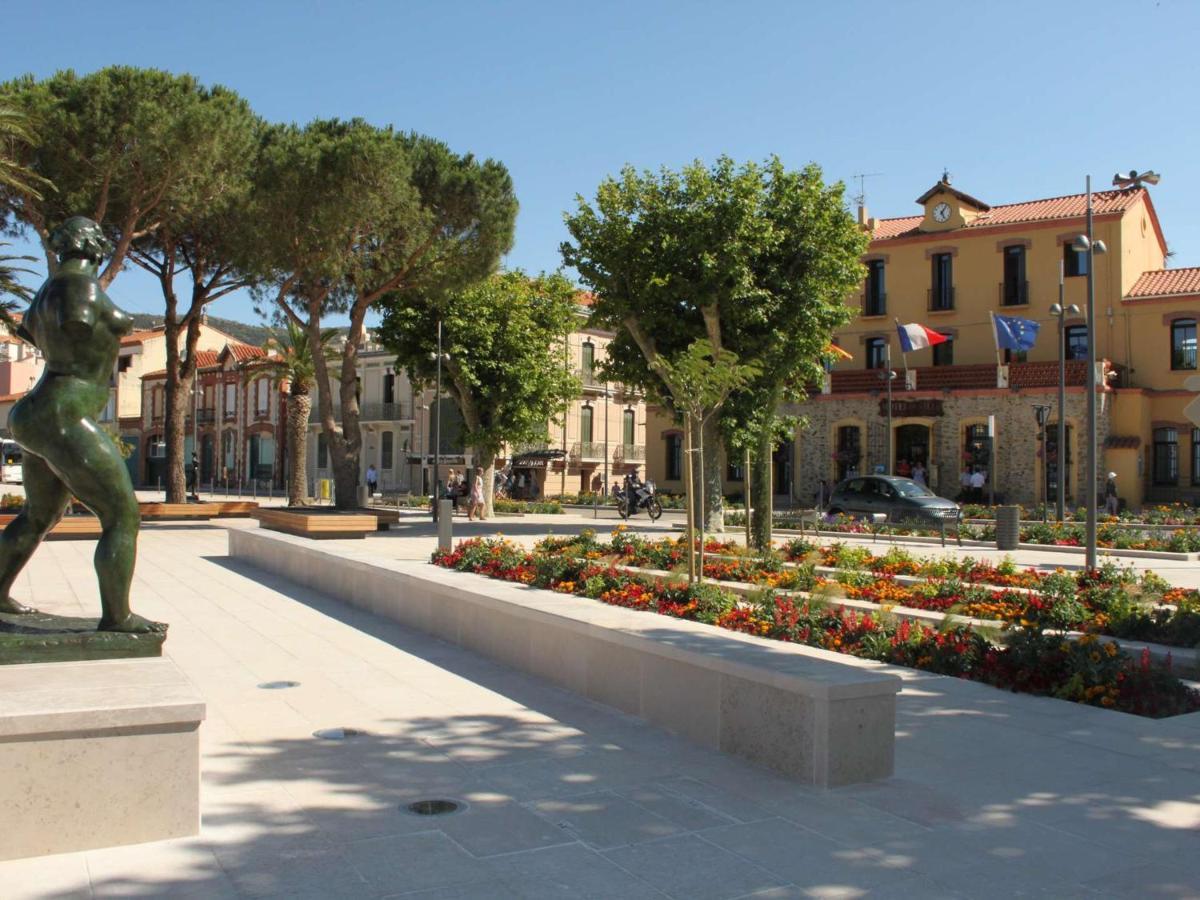 Appartement Renove Avec Clim, Parking Et Terrasse A 500M Du Port - Fr-1-225C-113 Banyuls-sur-Mer Eksteriør bilde